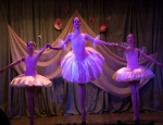 17 марта в Петропавловском СК состоялся Вечер балета.